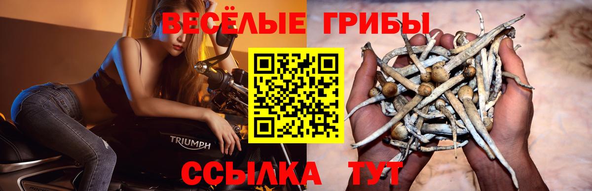 Псилоцибиновые грибы мицелий  Вход с VPN  Лесной  Галлюциногенные грибы мухоморы 